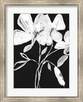 Framed White Whimsical Flowers I