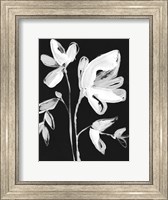 Framed White Whimsical Flowers II