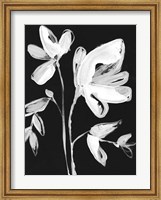 Framed White Whimsical Flowers II