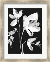 Framed White Whimsical Flowers II