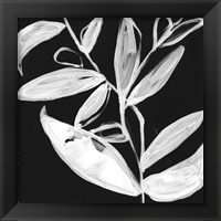 Framed 'Quirky White Leaves I' border=