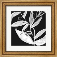 Framed Quirky White Leaves I