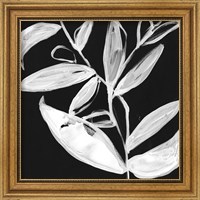 Framed 'Quirky White Leaves I' border=