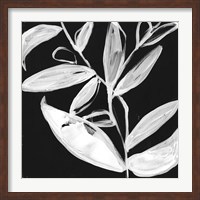 Framed Quirky White Leaves I