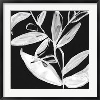Framed Quirky White Leaves I
