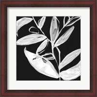 Framed Quirky White Leaves I