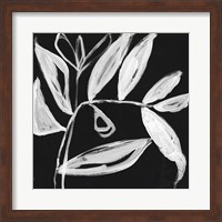 Framed 'Quirky White Leaves II' border=