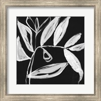 Framed 'Quirky White Leaves II' border=