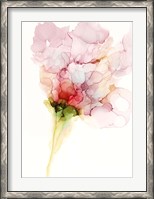 Framed Flower Passion I