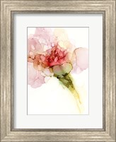 Framed Flower Passion II