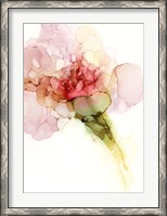 Framed Flower Passion II