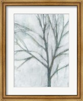 Framed Tree with White Sky I