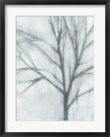 Framed Tree with White Sky I