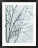 Framed Tree with White Sky II