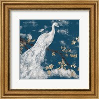 Framed White Peacock on Indigo I