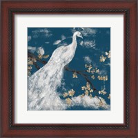 Framed White Peacock on Indigo I