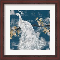 Framed White Peacock on Indigo II