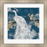 Framed White Peacock on Indigo II