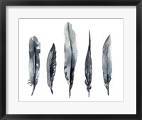 Framed Indigo Feathers I