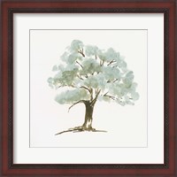 Framed Mint Tree I