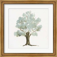 Framed Mint Tree II