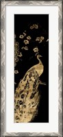 Framed Gilded Peacock Triptych III