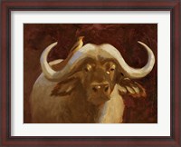 Framed Cape Buffalo I