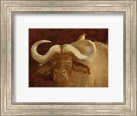 Framed Cape Buffalo II