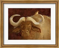 Framed Cape Buffalo II