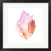 Framed Sunset Conch II