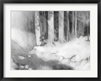 Framed Graphite Glade I