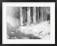 Framed Graphite Glade I