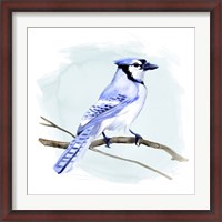 Framed Coastal Blue Jay I