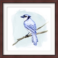 Framed Coastal Blue Jay II