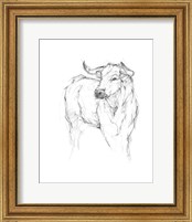 Framed 'Bull Study I' border=