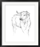 Framed Bull Study I