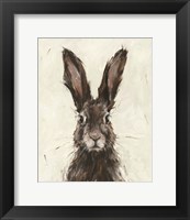 Framed European Hare I