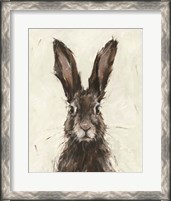 Framed European Hare I
