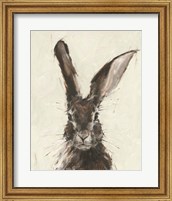 Framed European Hare II