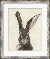 Framed European Hare II