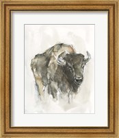 Framed 'American Buffalo I' border=