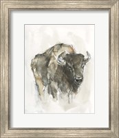 Framed 'American Buffalo I' border=