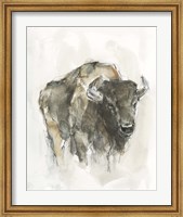 Framed American Buffalo I