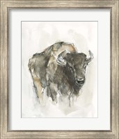 Framed American Buffalo I