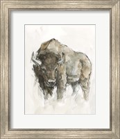 Framed 'American Buffalo II' border=