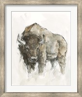 Framed American Buffalo II