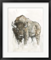 Framed American Buffalo II