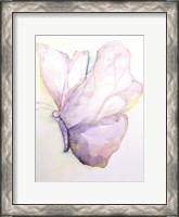 Framed Dulzura Mariposa I