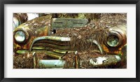 Framed Car Graveyard III