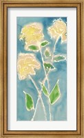 Framed Spring Annuals I